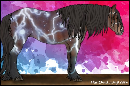 Horse Color: Bay 