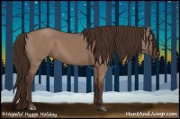 Horse Color:Liver Red Dun 