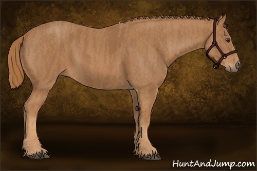 Horse Color: Chestnut  Brindle