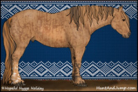 Horse Color:Bay  Brindle