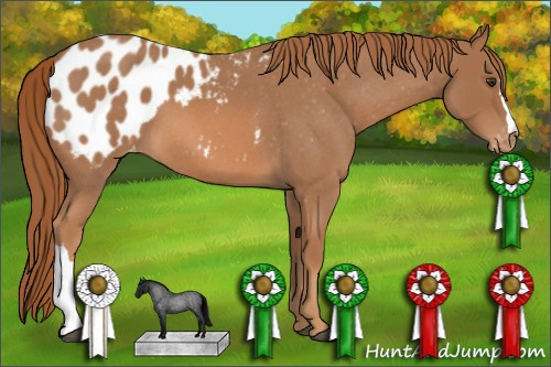 Horse Color: Red Roan Blanket 