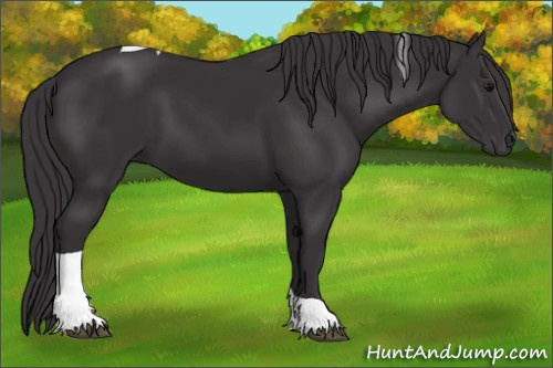 Horse Color: Smoky Black Tobiano 