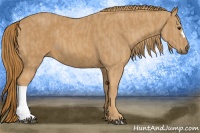 Horse Color:Chestnut  Brindle