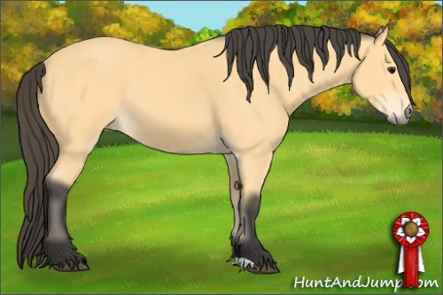 Horse Color: Buckskin 