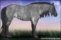 Horse Color:White Spotted Blue Roan Rabicano Brindle