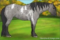 Horse Color:Grullo Roan Tobiano  Brindle