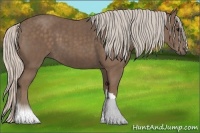 Horse Color:Silver Black Brindle