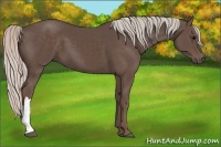 Horse Color:Silver Black 