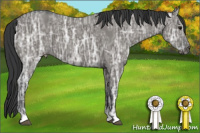 Horse Color:Grullo Ice 