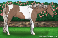 Horse Color:Silver Black Tobiano 