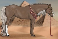Horse Color:Silver Black 