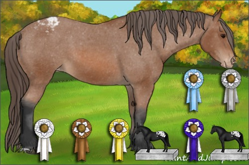 Horse Color: Bay Snowcap 