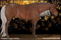 Horse Color:Silver Bay  Brindle