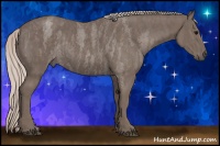 Horse Color:Silver Blue Roan Rabicano Brindle