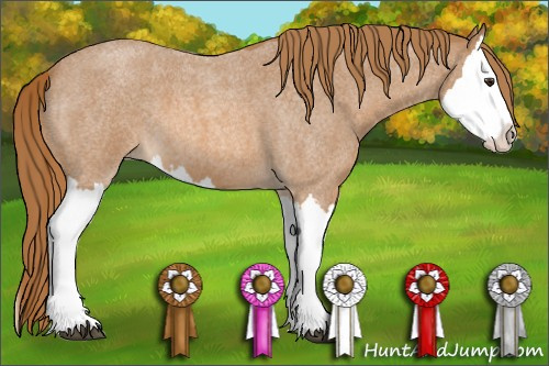 Horse Color: Red Roan Splash 