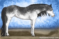 Horse Color:White Spotted Blue Roan Rabicano  Brindle
