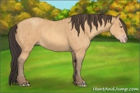 Horse Color:Amber Champagne  Brindle