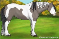 Horse Color:Grullo Splash Tobiano 