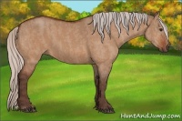 Horse Color:Silver Bay Dun  Brindle