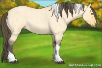 Horse Color:Buckskin Roan Dun Tobiano  Brindle