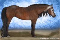Horse Color:Gray Bay  Brindle