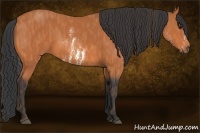 Horse Color:White Spotted Bay Frame  Brindle