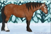 Horse Color:Gray Bay Brindle