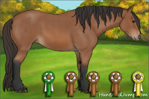 Horse Color: Bay Roan 