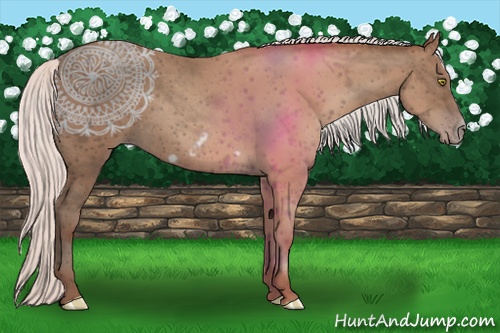 Horse Color:Silver Amber Champagne Frame 