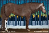 Horse Color:Gray Chestnut Varnish 