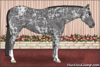 Horse Color:Smoky Black Ice 