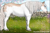 Horse Color:Silver Amber Champagne Splash Frame  Brindle