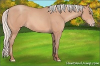 Horse Color:Silver Amber Champagne Frame