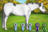 Horse Color:White Spotted Black Splash Frame 