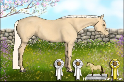 Horse Color: Palomino 