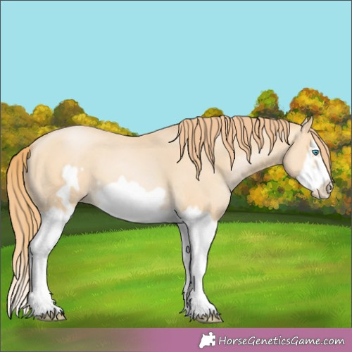 Horse Color:Buckskin Pearl Splash Frame 