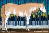 Horse Color:Chestnut Splash 