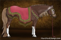 Horse Color:Gray Chestnut 