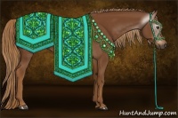 Horse Color:Gray Chestnut 