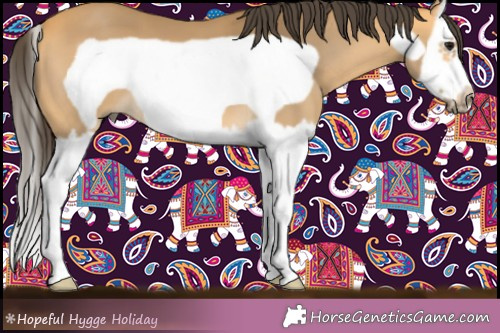 Horse Color:Buckskin Splash Frame 