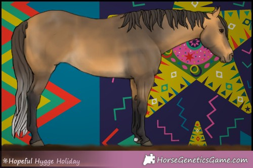Horse Color:Buckskin 