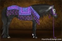 Horse Color:Gray Smoky Black 