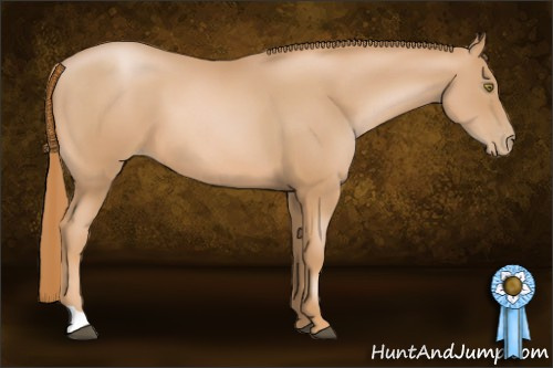 Horse Color: Chestnut Pearl 