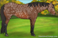 Horse Color:Bay Ice 