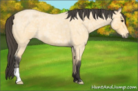 Horse Color:Buckskin Ice Roan 