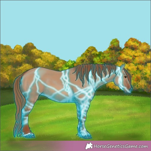 Horse Color:Thunderstruck Red Dun 