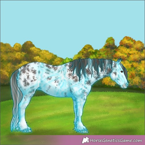 Horse Color:Thunderstruck Liver Chestnut Sabino Splash 