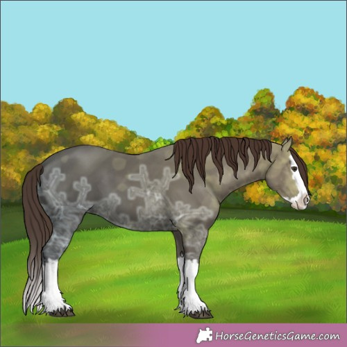 Horse Color:Liver Chestnut Ice Splash 