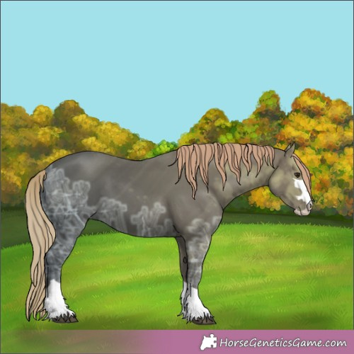 Horse Color:Liver Chestnut Ice 