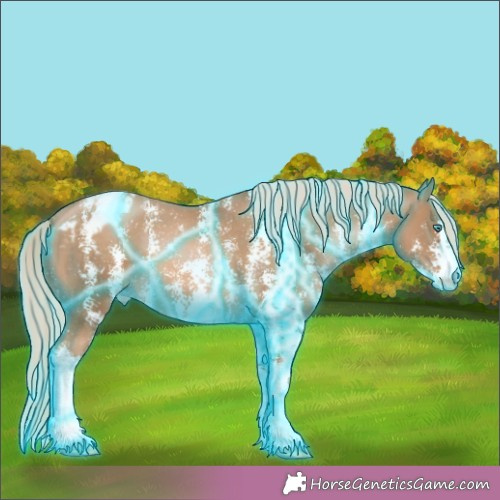 Horse Color:Thunderstruck Chocolate Palomino Pearl Sabino Appaloosa 